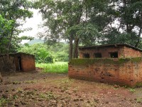 Sonjea school