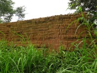 bricks