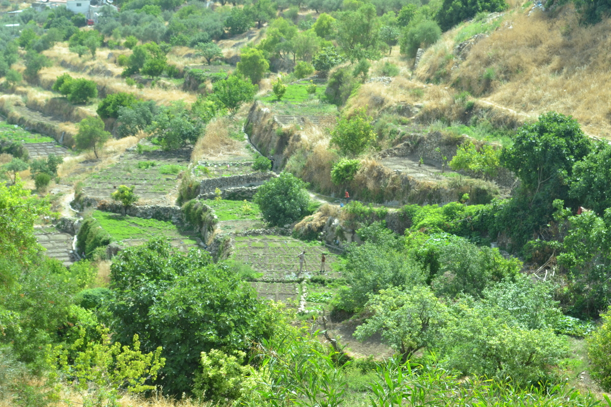 Ancient stone terraces of Battir (David Kattenburg)