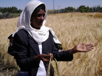 Green Planet Monitor Podcast