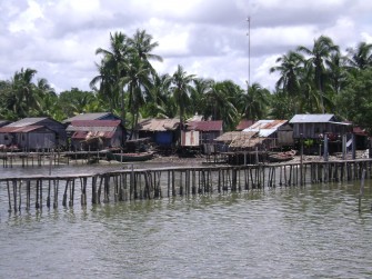 The Mangroves of Southern Cambodia