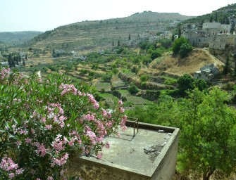 A Village Called Battir