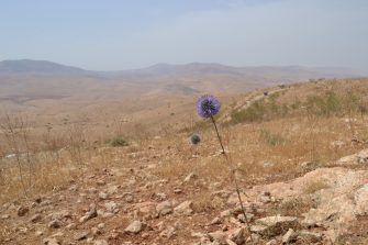The Jordan Valley