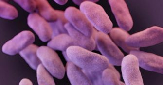 Drug Resistant Microbes Under Siege