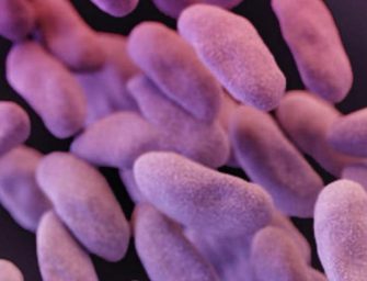 Drug Resistant Microbes Under Siege