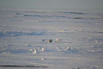 Cryosphere