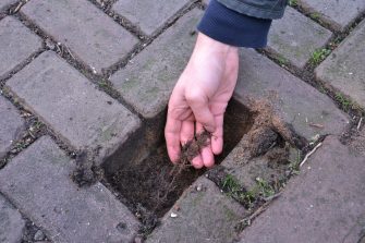 Green Planet Monitor Podcast