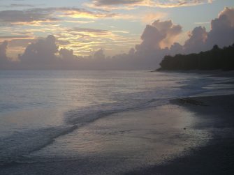 Green Planet Monitor Podcast